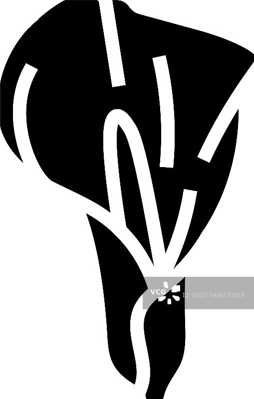 马蹄莲花朵春天标志图标图片素材