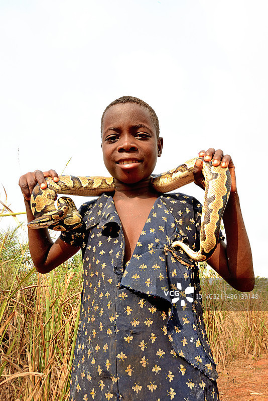 女孩手中的球蟒图片素材