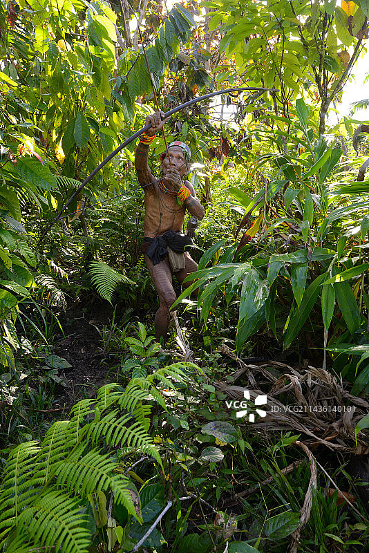 明打威猎人，西比路岛，印度尼西亚图片素材