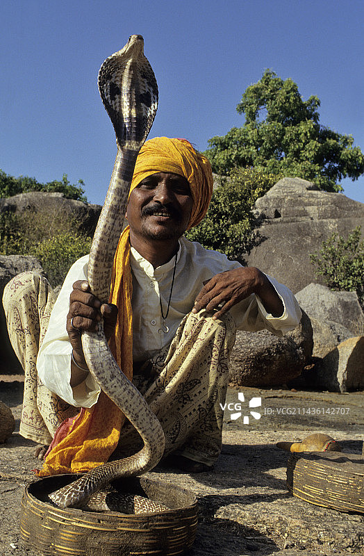 印度眼镜蛇与弄蛇人，泰米尔纳德邦，印度图片素材