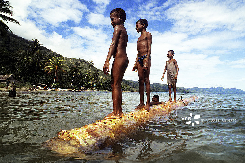 巴布亚新几内亚弗格森岛：西米树干上的儿童图片素材