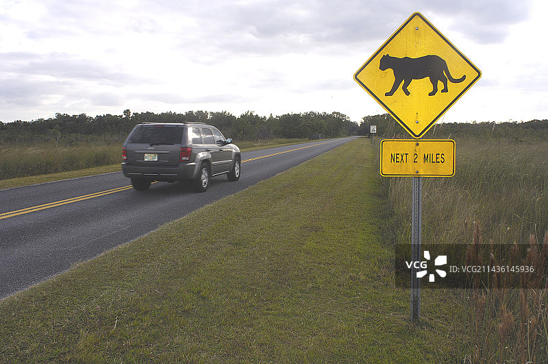 佛罗里达州大沼泽地国家公园路边的面板图片素材