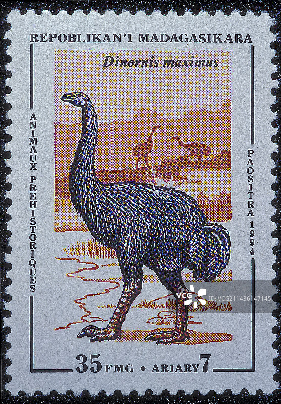 马达加斯加邮票上的巨型恐鸟图片素材