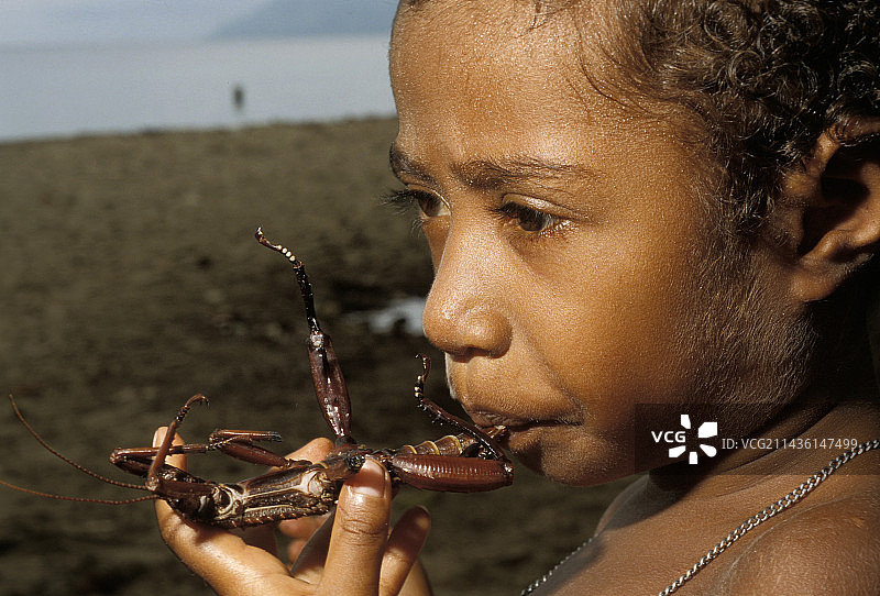 小孩吃巨型竹节虫图片素材