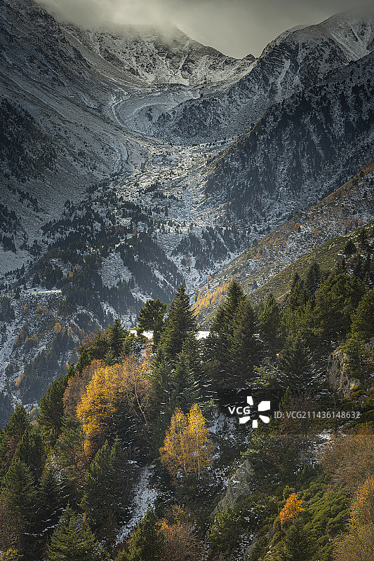 法国比利牛斯山东比利牛斯省卡尼古山地瓦尔马尼亚山口的初雪图片素材