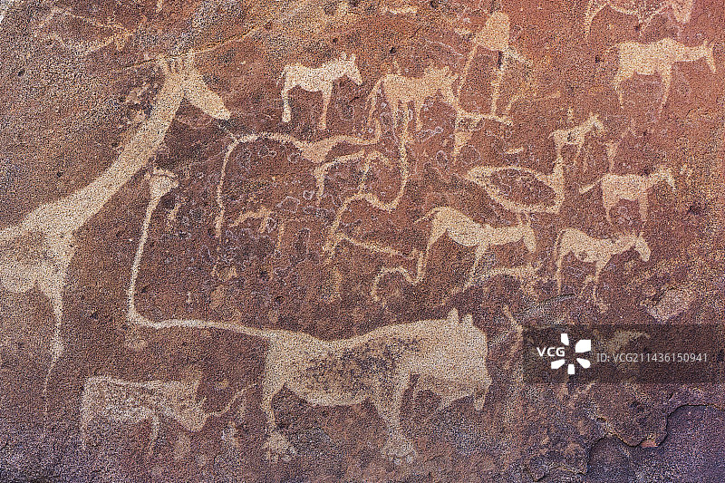 霍里哈斯镇西部的颓废方丹岩石雕刻上的著名狮子图。世界遗产。纳米比亚库内内区达马拉兰。图片素材