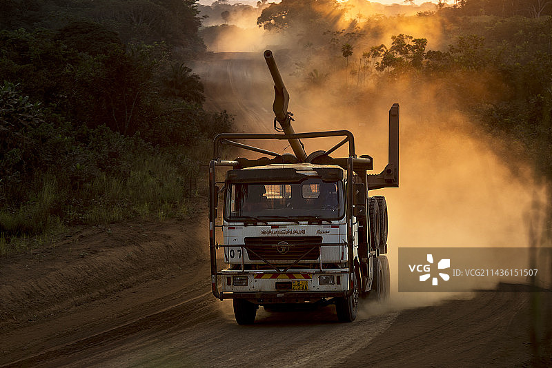 木材采伐、存储与运输（加蓬）图片素材