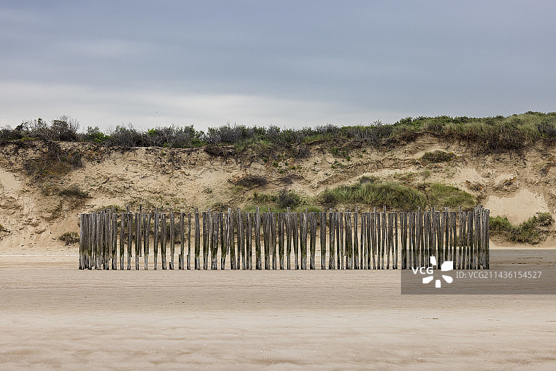 沙丘脚下的捕沙器安装：用于增加海滩顶部沙量，法国加来海峡省图片素材
