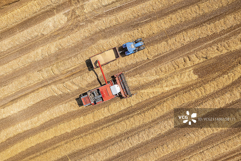 法国加来海峡蛋白石海岸夏季收割大麦图片素材