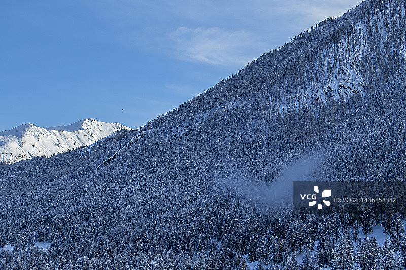 拉尔什山口附近的雪景森林，法国上普罗旺斯阿尔卑斯山省梅康图尔国家公园北部图片素材