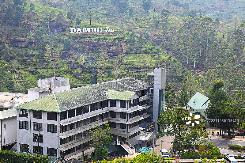 努瓦拉艾莉亚市郊丹姆罗茶叶公司茶园和工厂，斯里兰卡图片素材