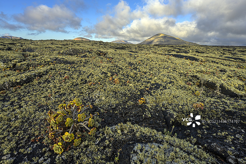 兰萨罗特岛玄武岩熔岩流，加那利群岛图片素材