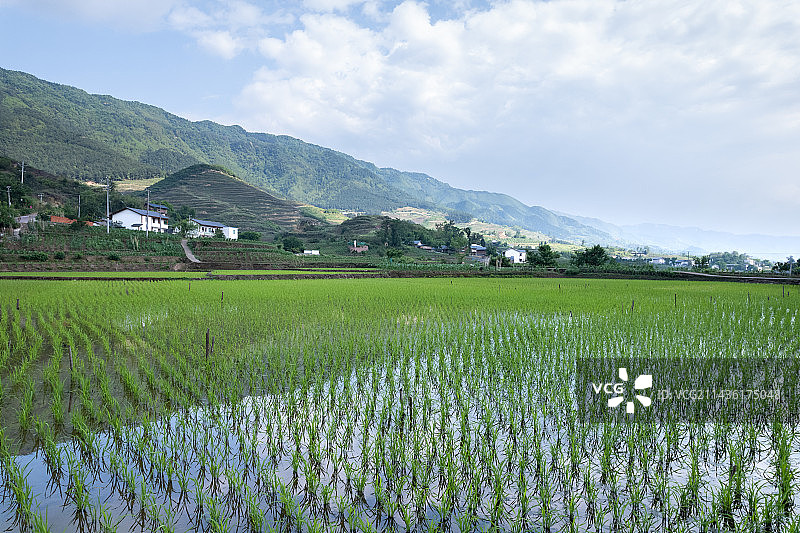 重庆北碚东升村的田园风光图片素材