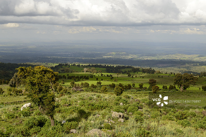巴莱山国家公园，埃塞俄比亚图片素材