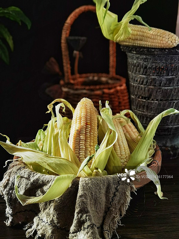 玉米｜招财进宝(静物暗调)图片素材