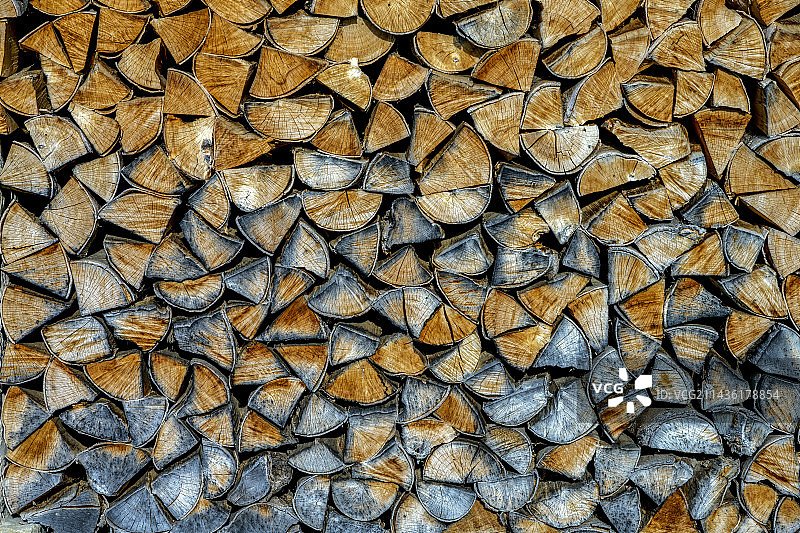 法国韦科尔地区的山毛榉木堆图片素材