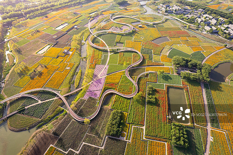 宿迁三台山衲田花海图片素材