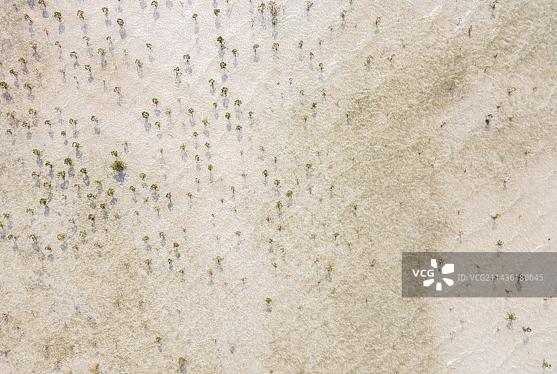 陵水县南湾自然保护区航拍图片素材