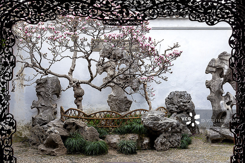 网师园紫玉兰图片素材