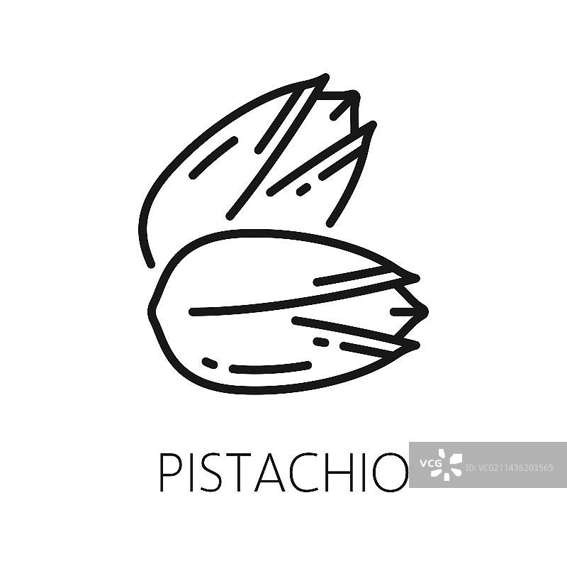 带硬壳的开心果轮廓图标图片素材
