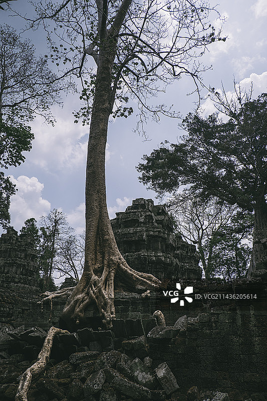 吴哥之美图片素材