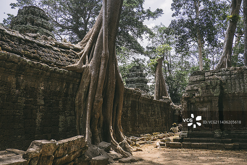 吴哥之美图片素材