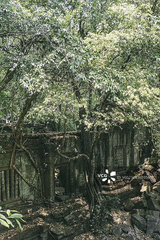 吴哥之美图片素材