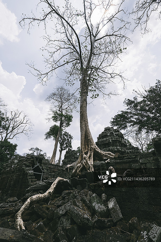 吴哥之美图片素材