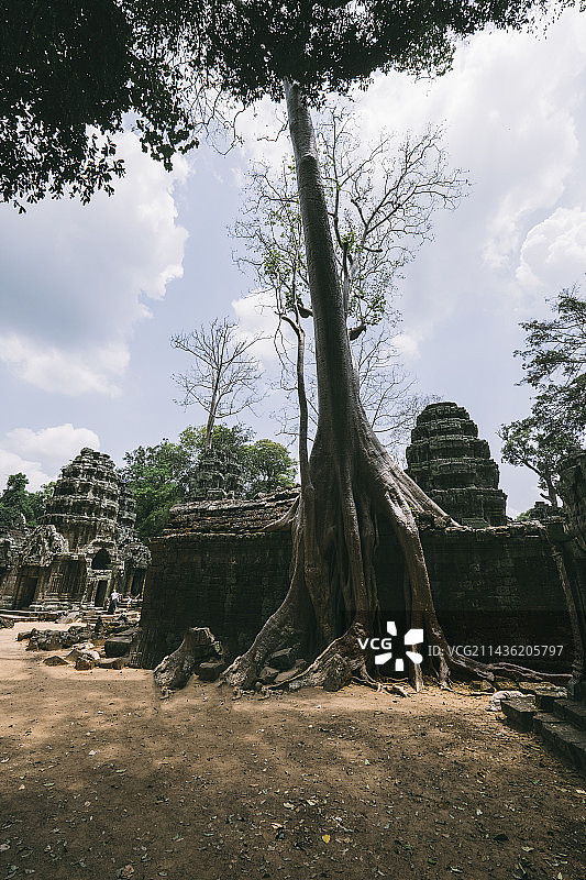 吴哥之美图片素材