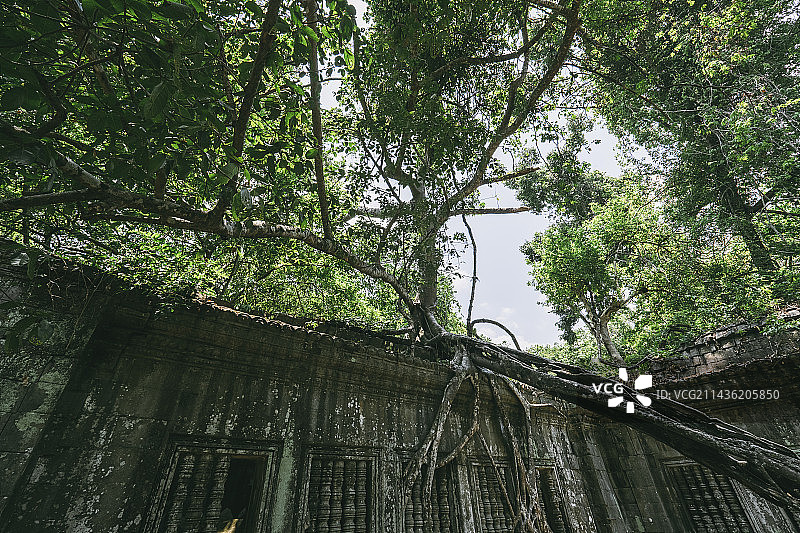 吴哥之美图片素材