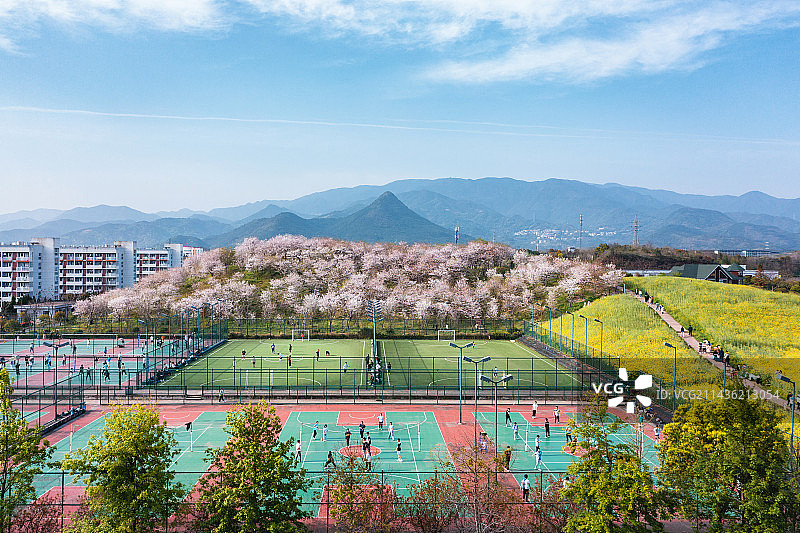 浙江师范大学校园航拍风光春日樱花季图片素材
