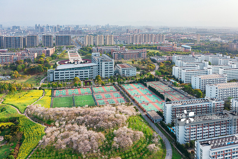 浙江师范大学校园航拍风光春日樱花季图片素材