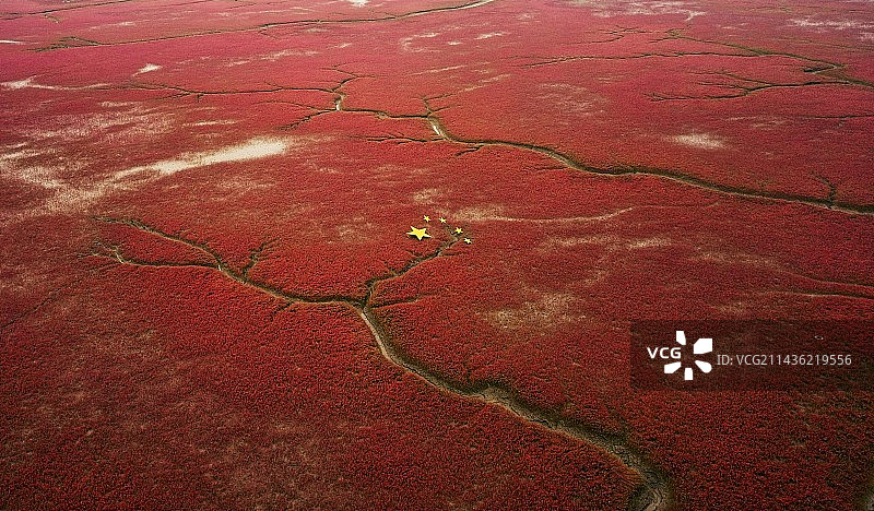 盘锦红海滩 航拍图图片素材