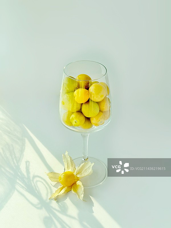 灯笼果图片素材