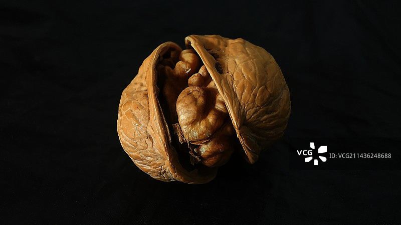 一颗核桃图片素材