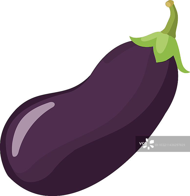 新鲜有机茄子，素食佳肴图片素材