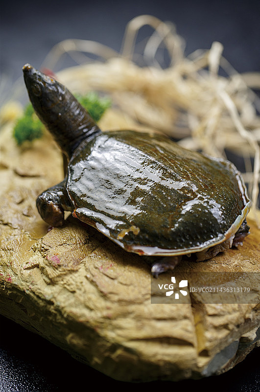 青石上摆放的的手撕霸王小鳖图片素材