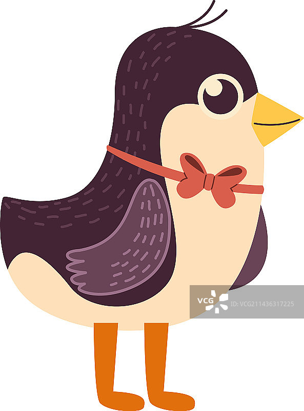 可爱的鸟类动物图片素材