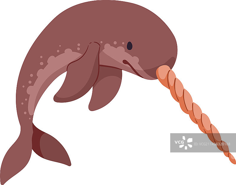 北极动物独角鲸图片素材