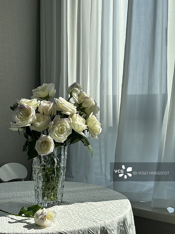 桌子上薄雾紫玫瑰瓶花图片素材