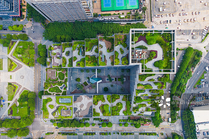 深圳福田区泰然大厦，城市绿化，建筑绿化图片素材