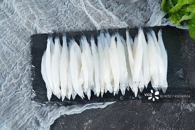 小银鱼图片素材