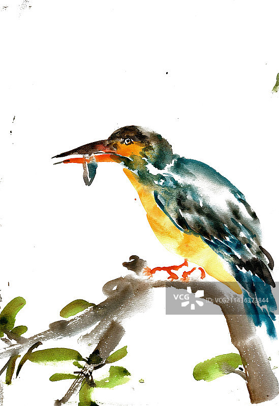 叼鱼的翠鸟图片素材