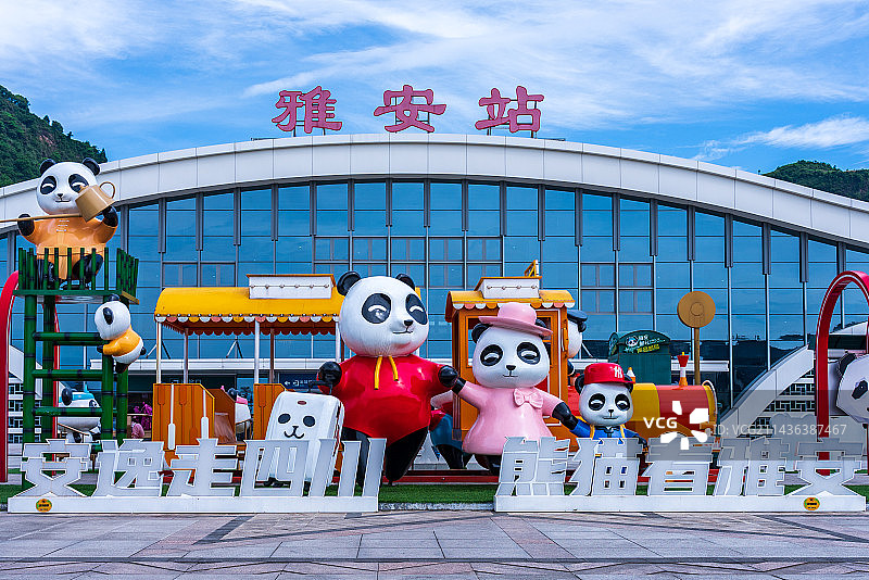 大熊猫旅游冠名列车：雅安站图片素材