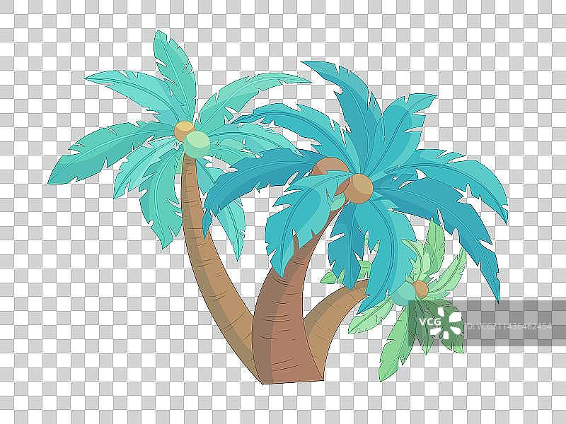 椰子树图片素材