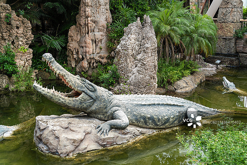 珠海长隆海洋王国鳄鱼图片素材