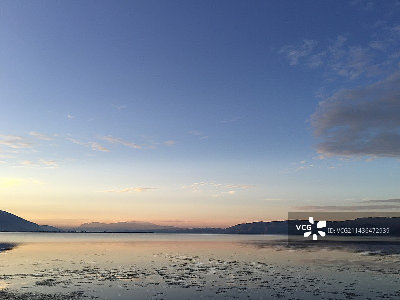 洱海风光，云南景区，湖面的一棵树，水面上的树图片素材