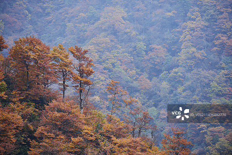 四川光雾山图片素材