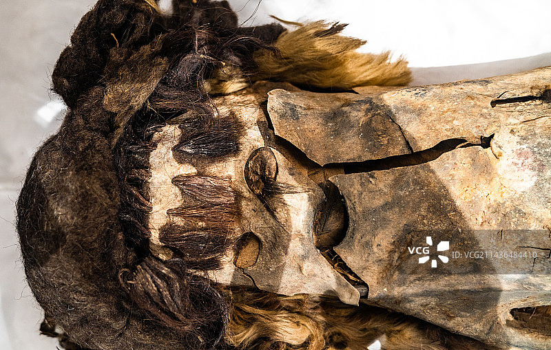 木尸 若羌县小河墓地出土 青铜时代图片素材