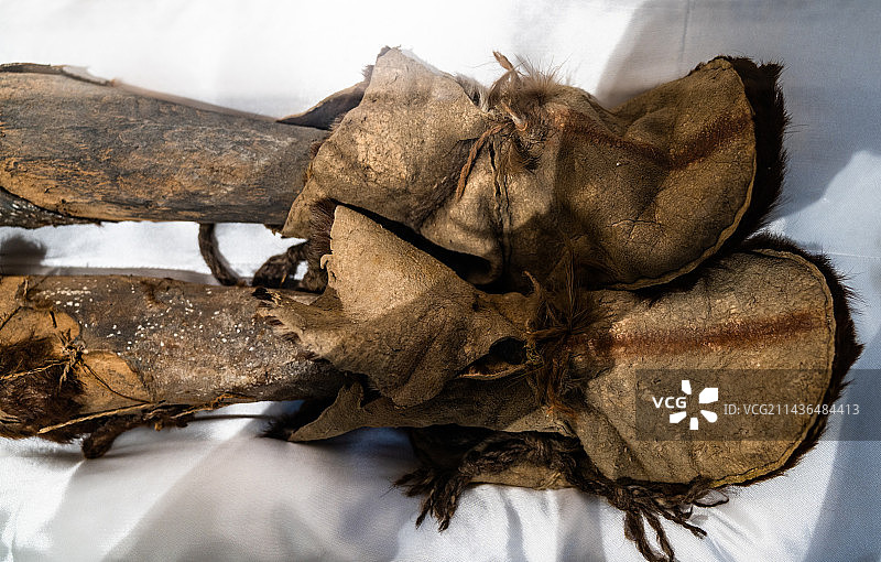 木尸 若羌县小河墓地出土 青铜时代图片素材